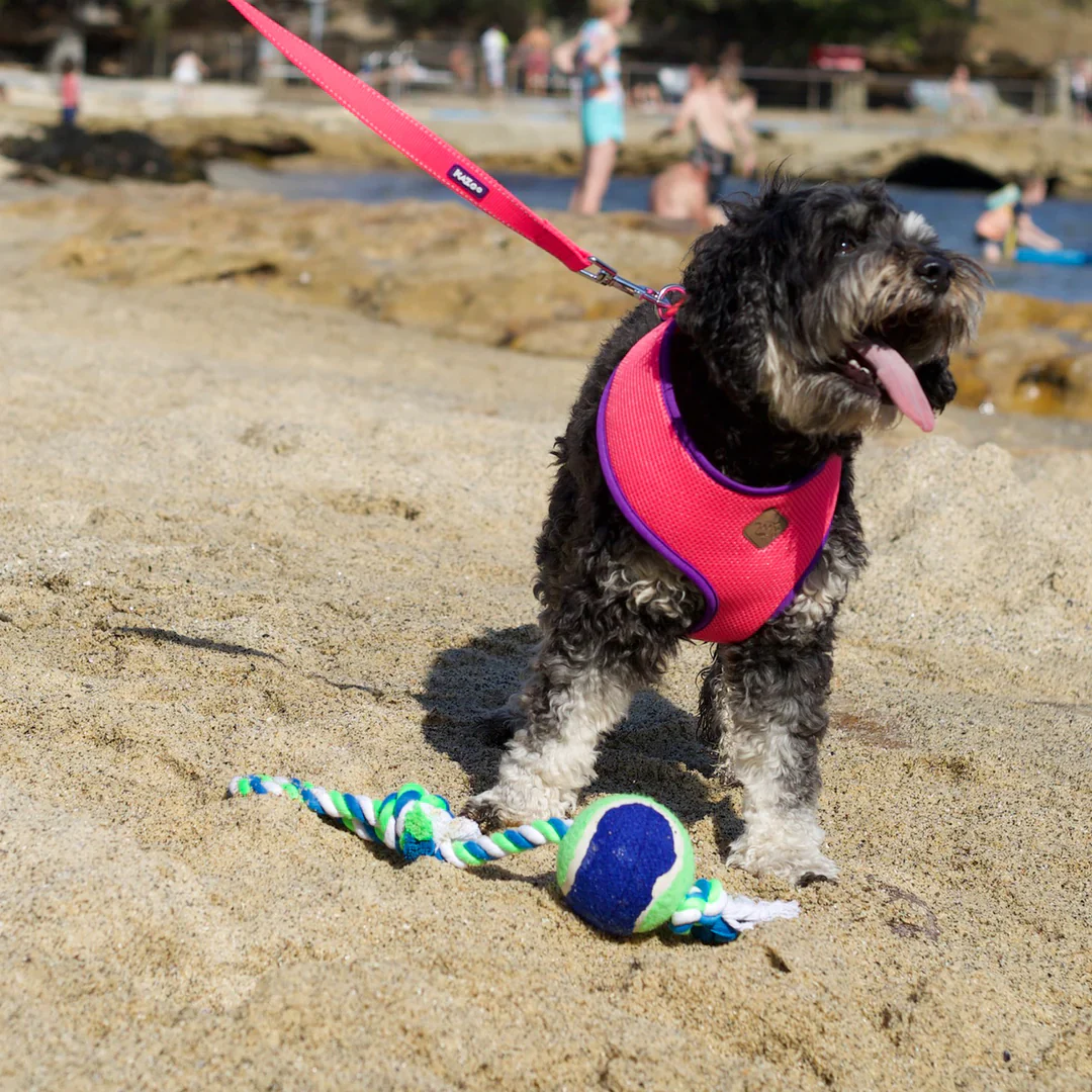 Kazoo Twisted Rope Sling Ball Dog Toy - Image 6