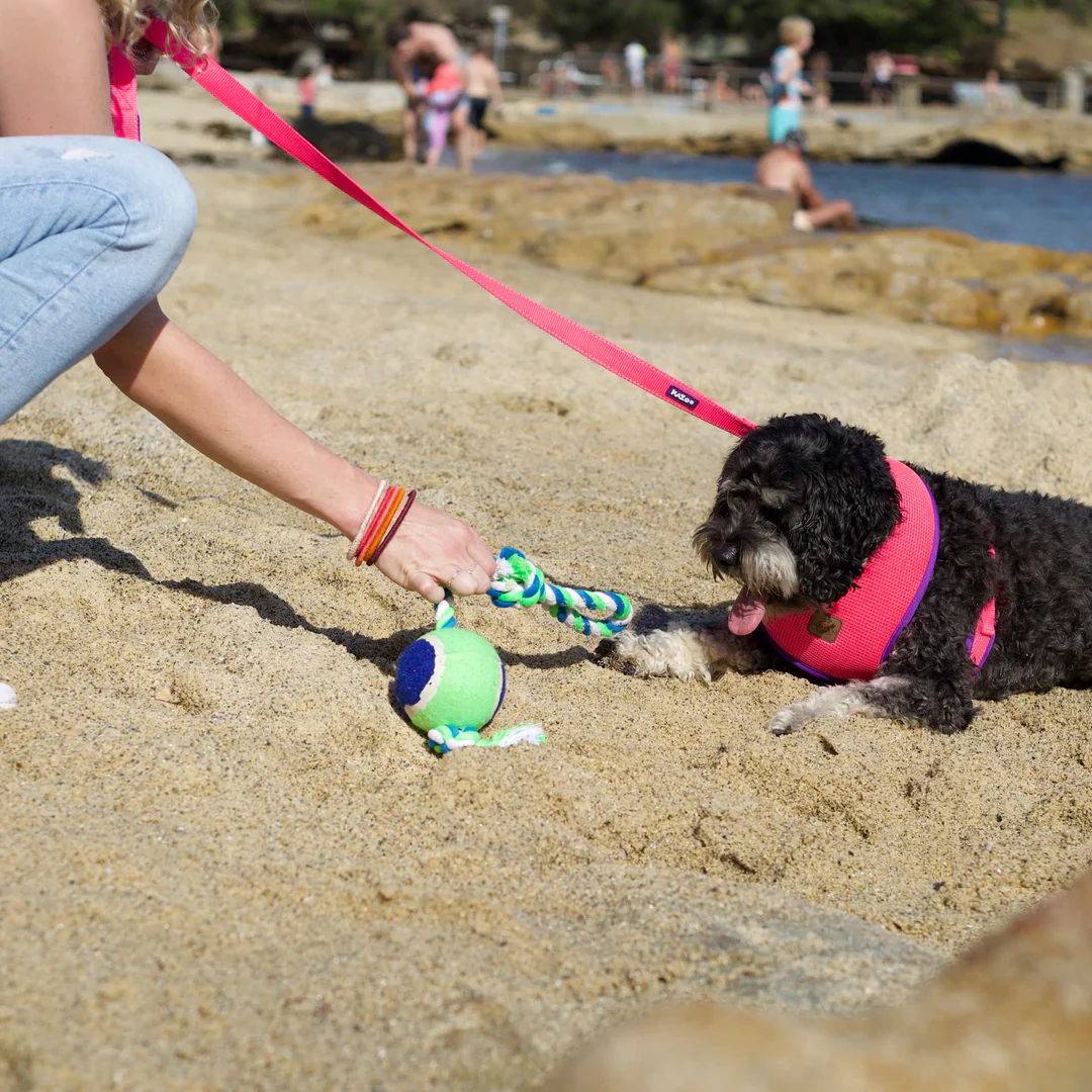 Kazoo Twisted Rope Sling Ball Dog Toy - Image 7