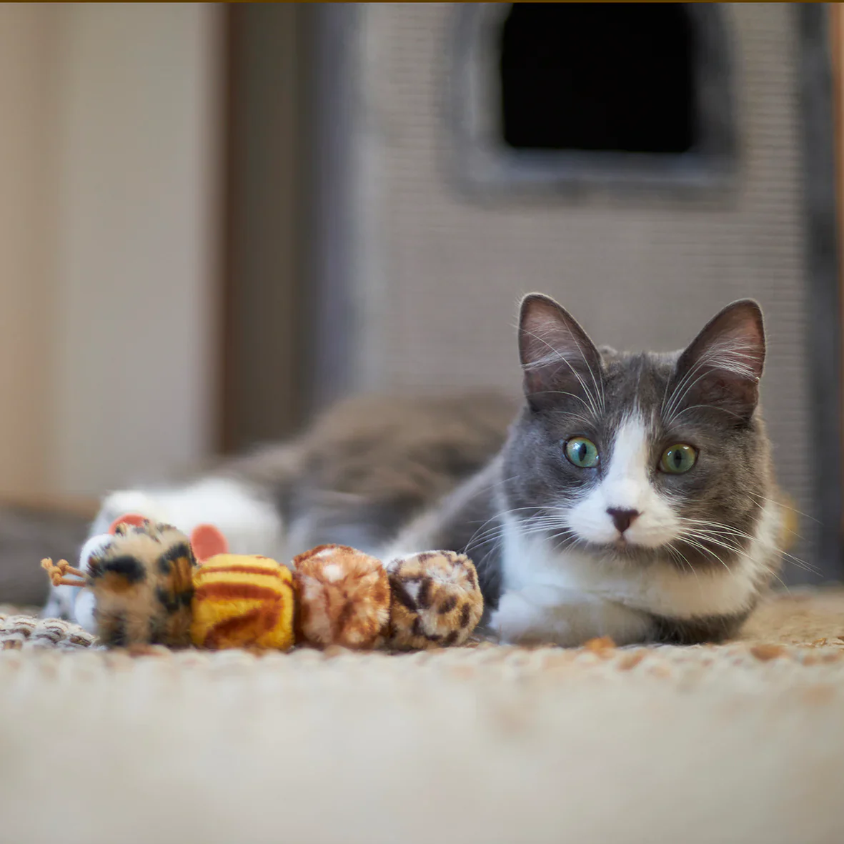 Kazoo Velcro Worm Cat Toy - Image 2