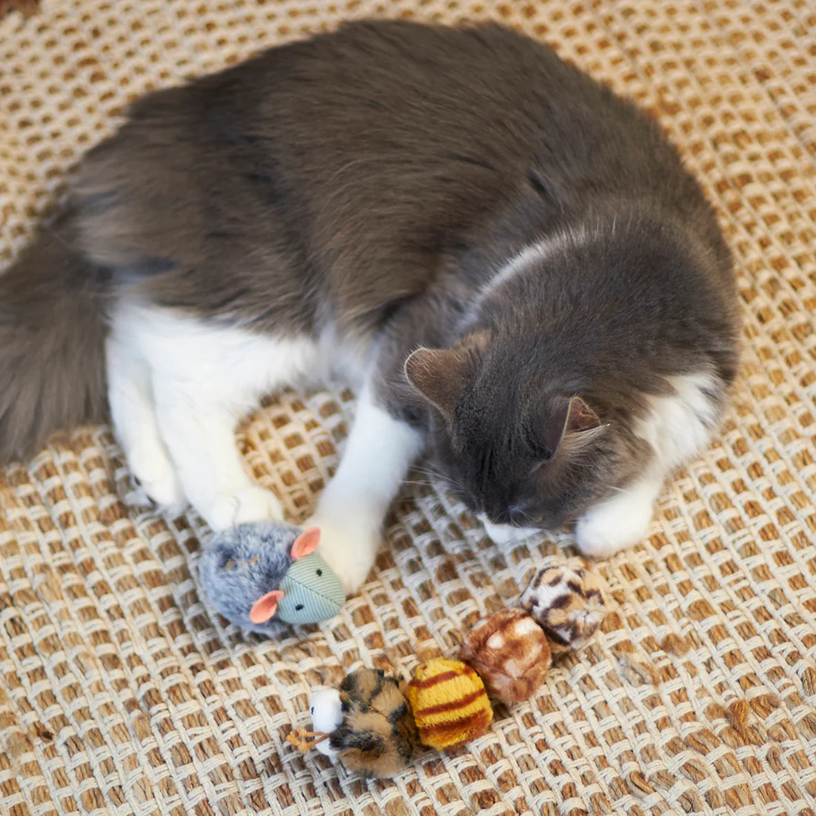Kazoo Velcro Worm Cat Toy - Image 3