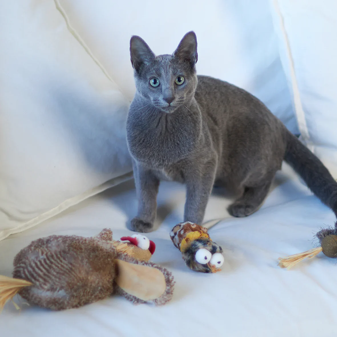 Kazoo Velcro Worm Cat Toy - Image 5