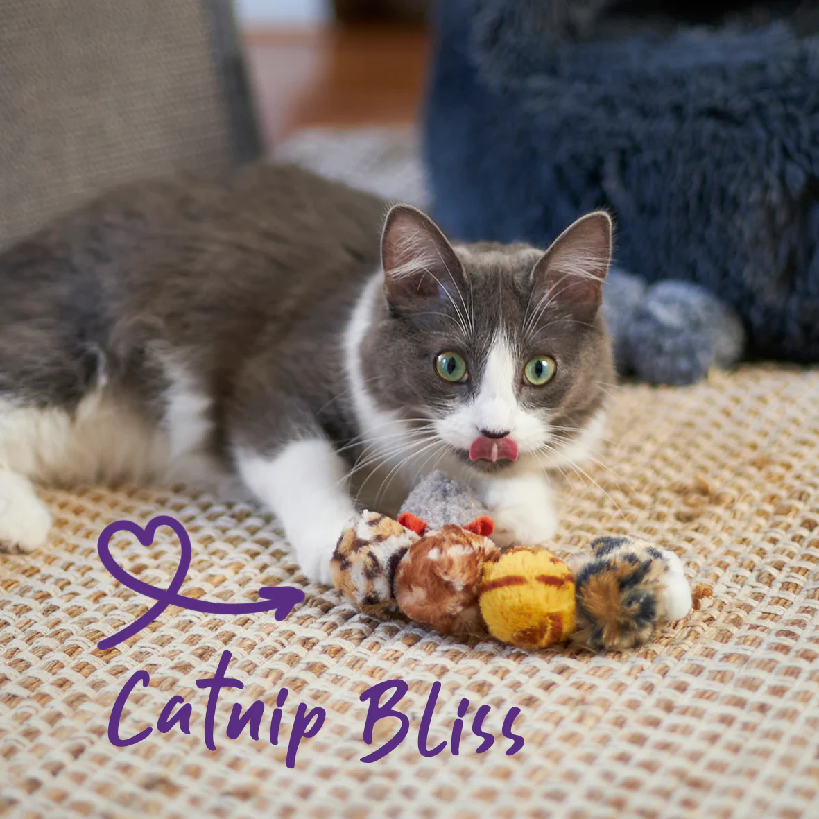 Kazoo Velcro Worm Cat Toy - Image 7