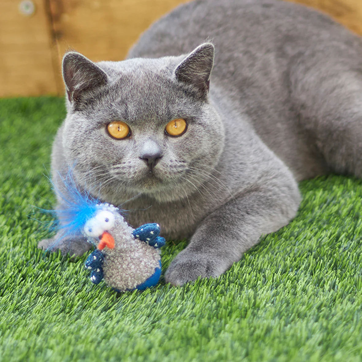 Kazoo Wobble Duck Cat Toy - Image 3