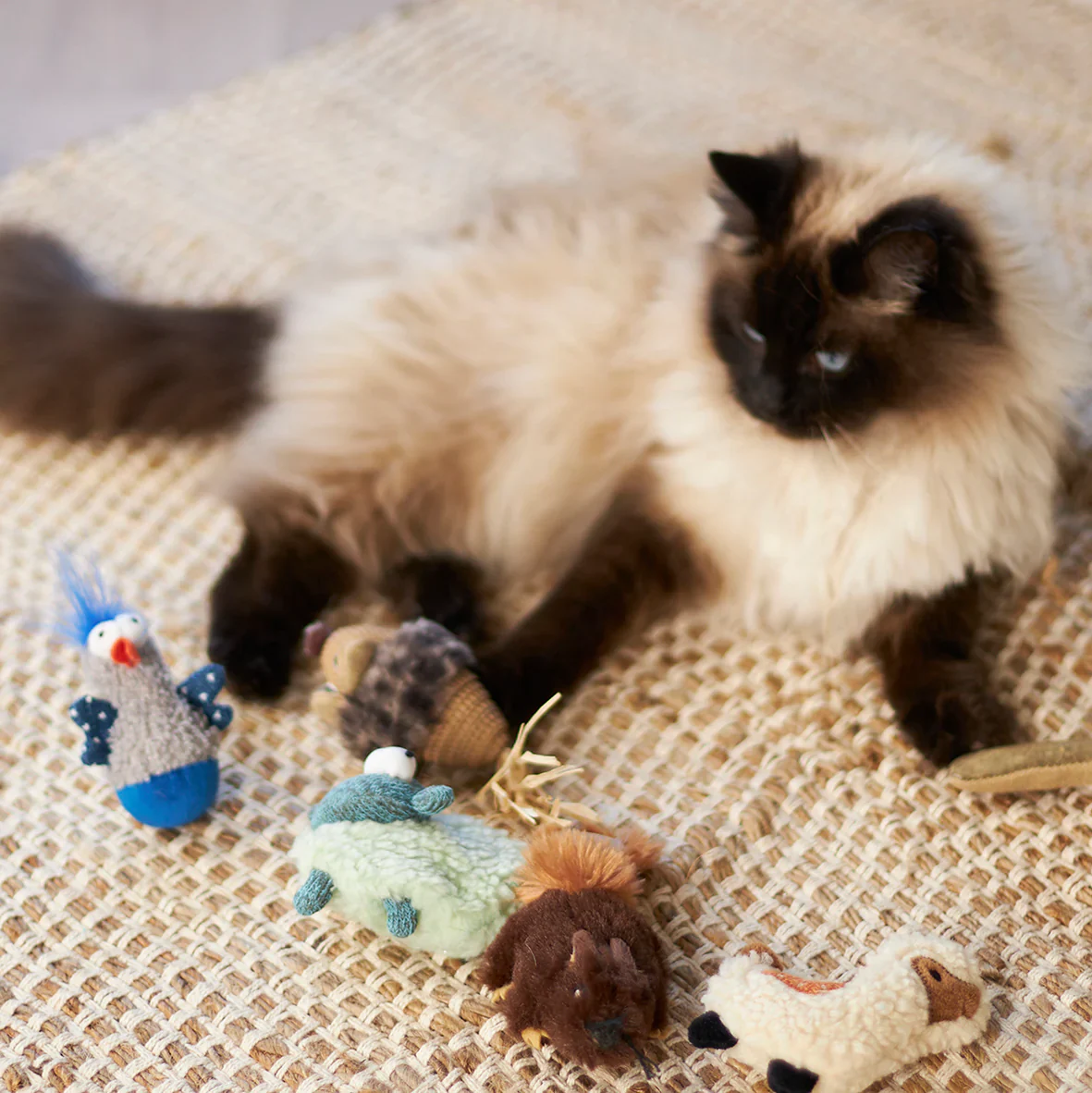 Kazoo Wobble Duck Cat Toy - Image 5