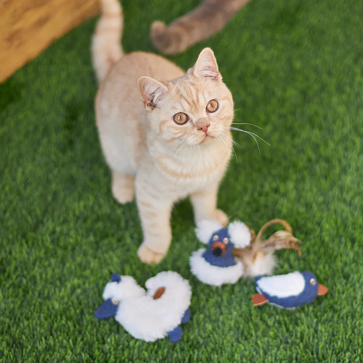 Kazoo Wobble Mouse Cat Toy - Image 6