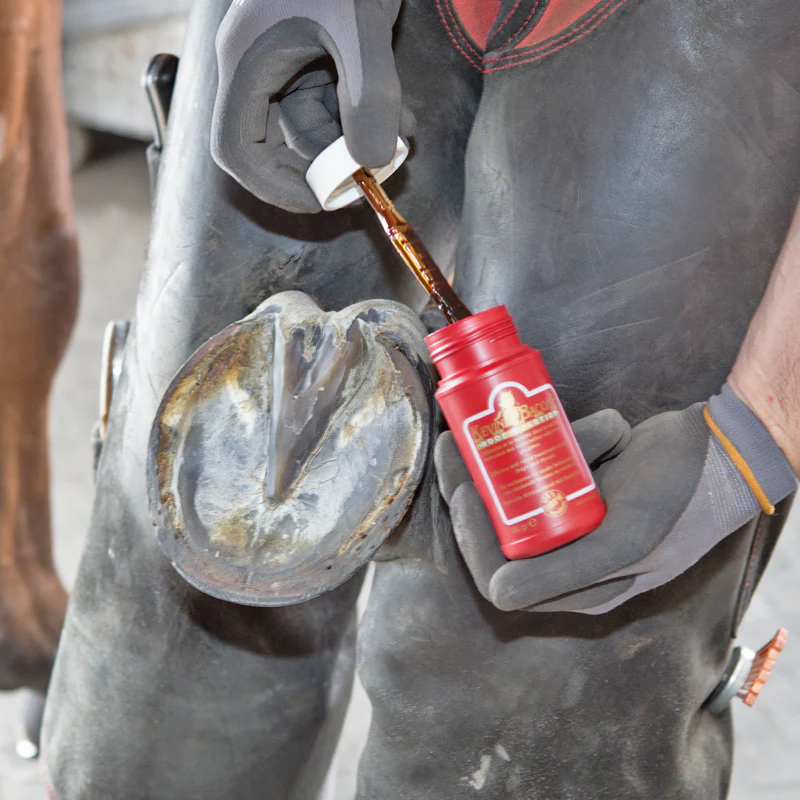 Kevin Bacon Hoof Solution - Image 3