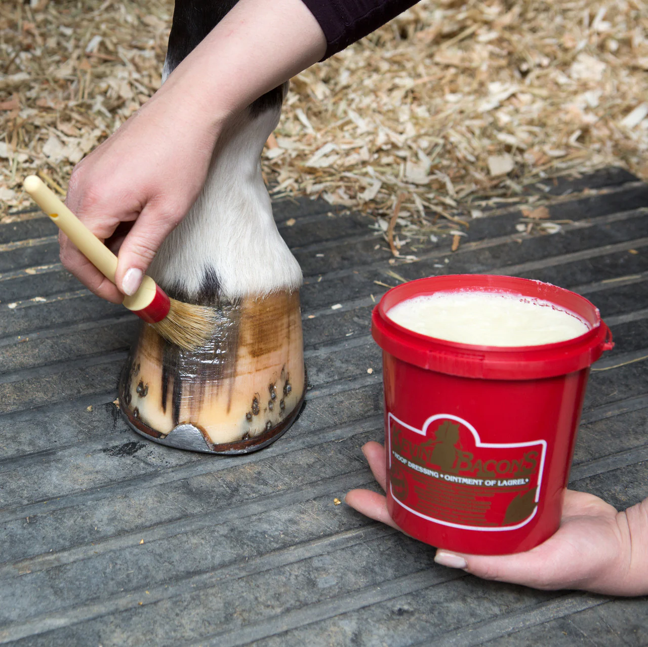 Kevin Bacon Original Hoof Dressing - Image 4