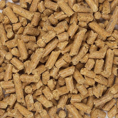 Kitter Wood Pellet Cat Litter - Image 2