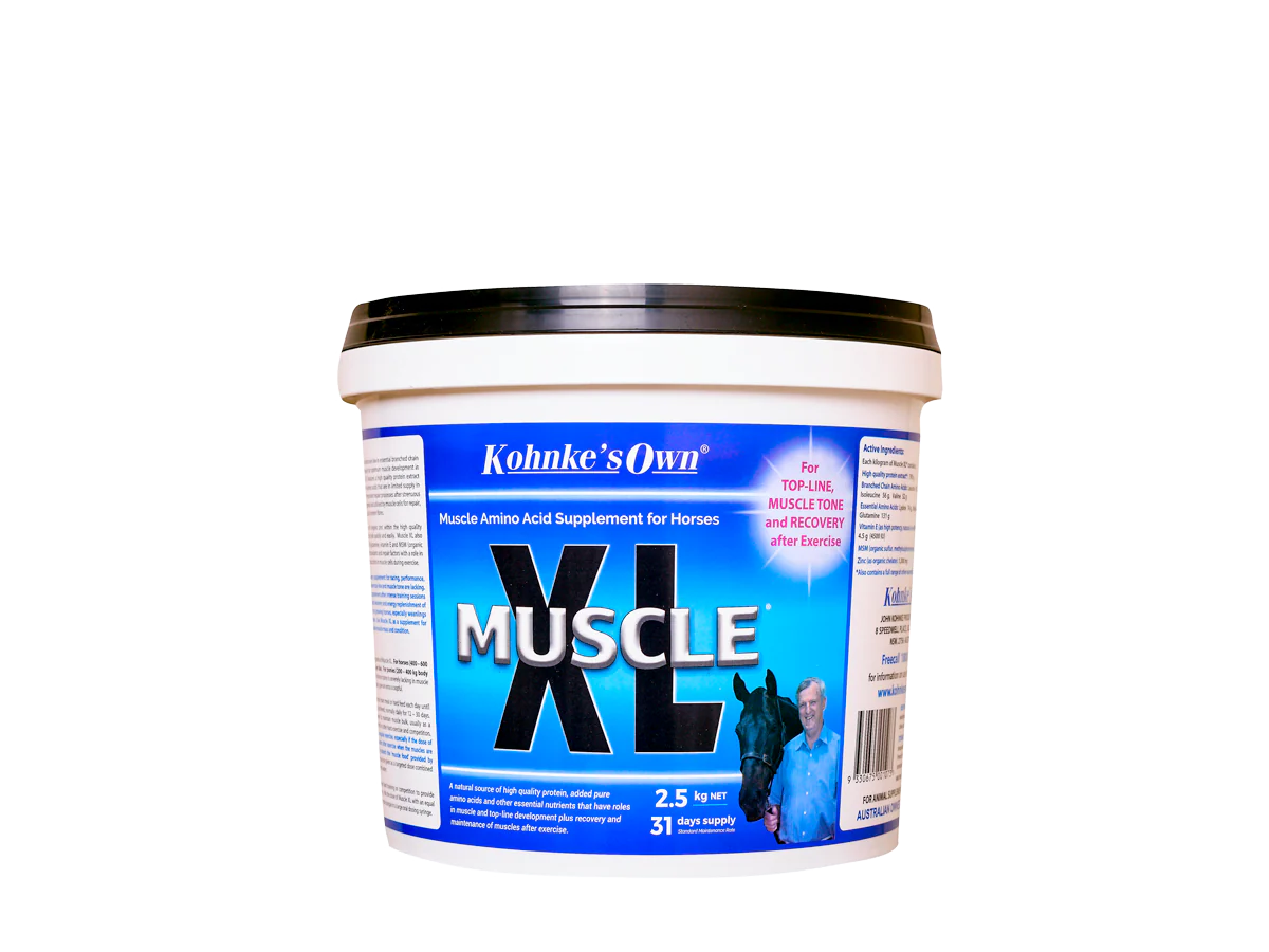Kohnkes Own Muscle XL - Image 2