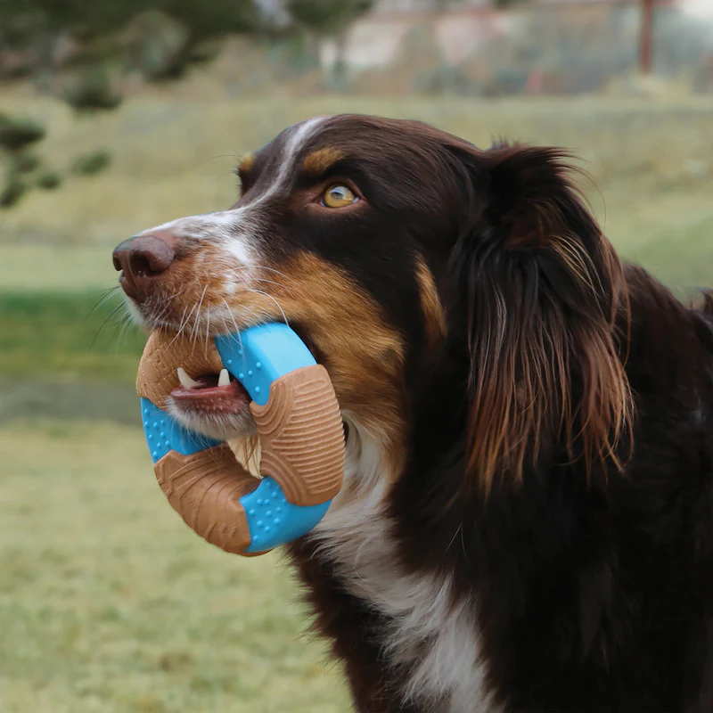 KONG CoreStrength Bamboo Bone Dog Toy - Image 3