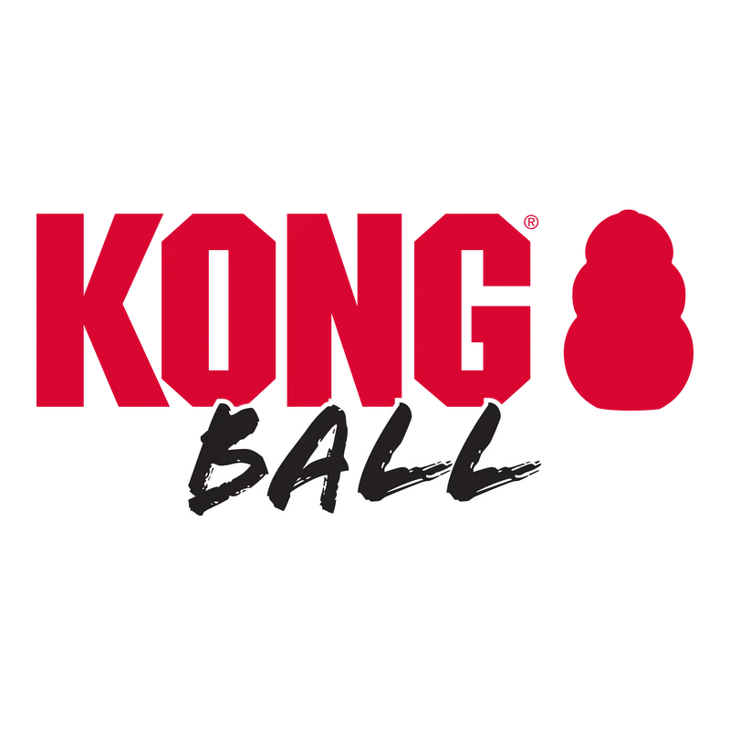 KONG Extreme Ball Dog Toy - Image 4
