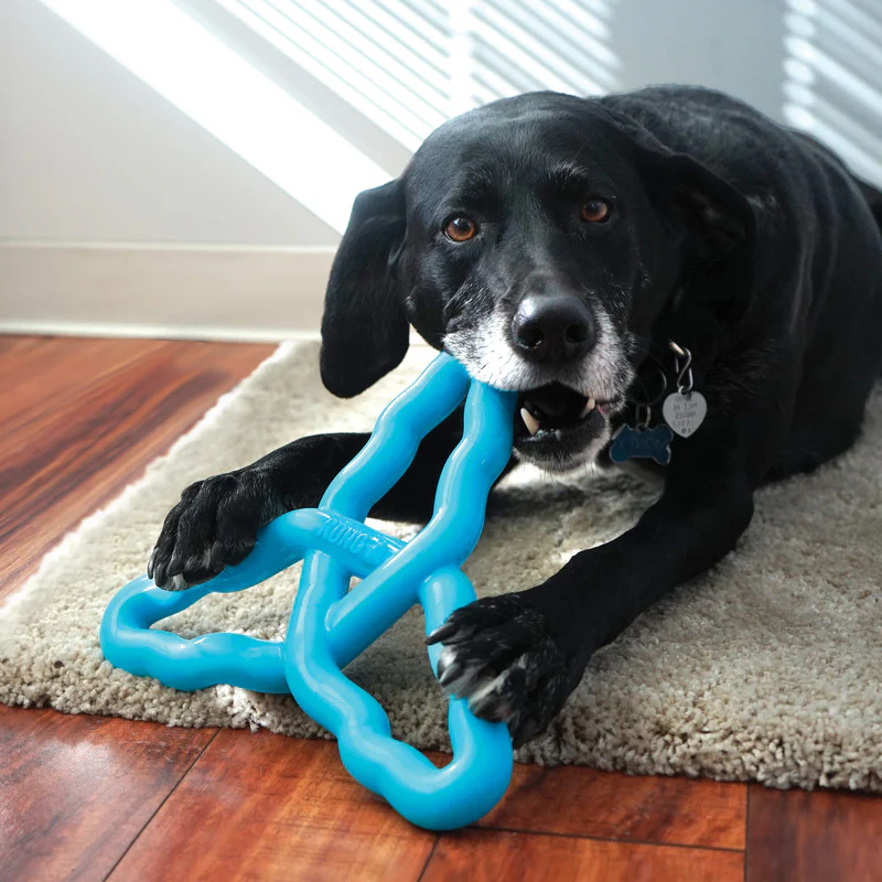 KONG Flyangle Dog Toy - Image 2