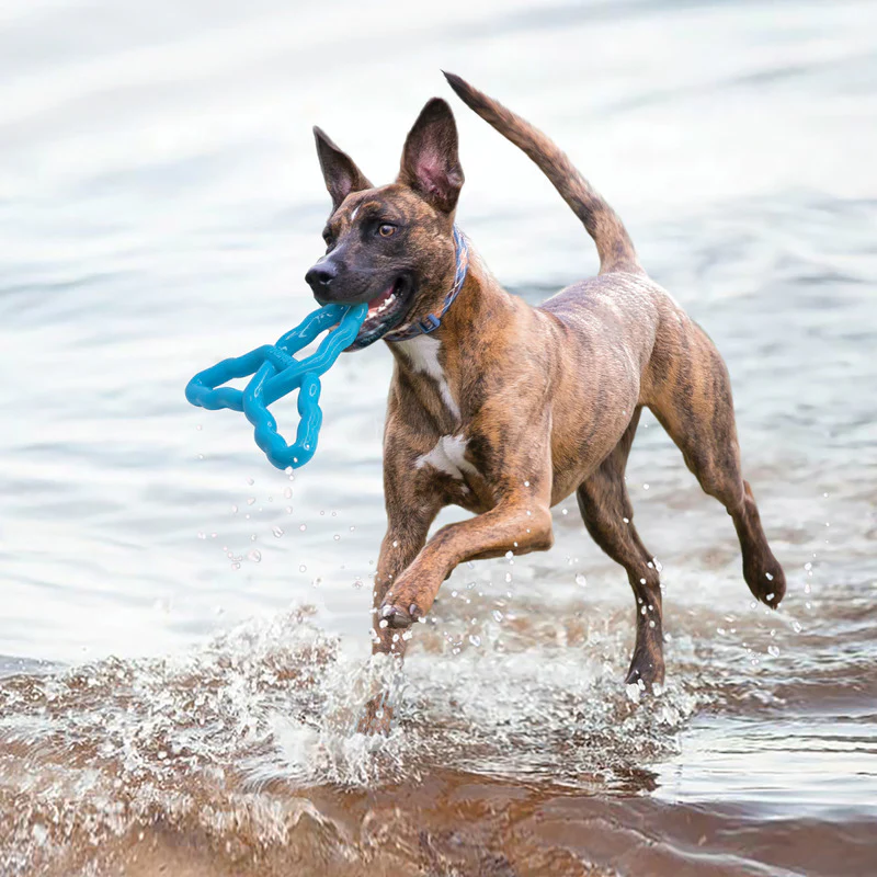 KONG Flyangle Dog Toy - Image 4
