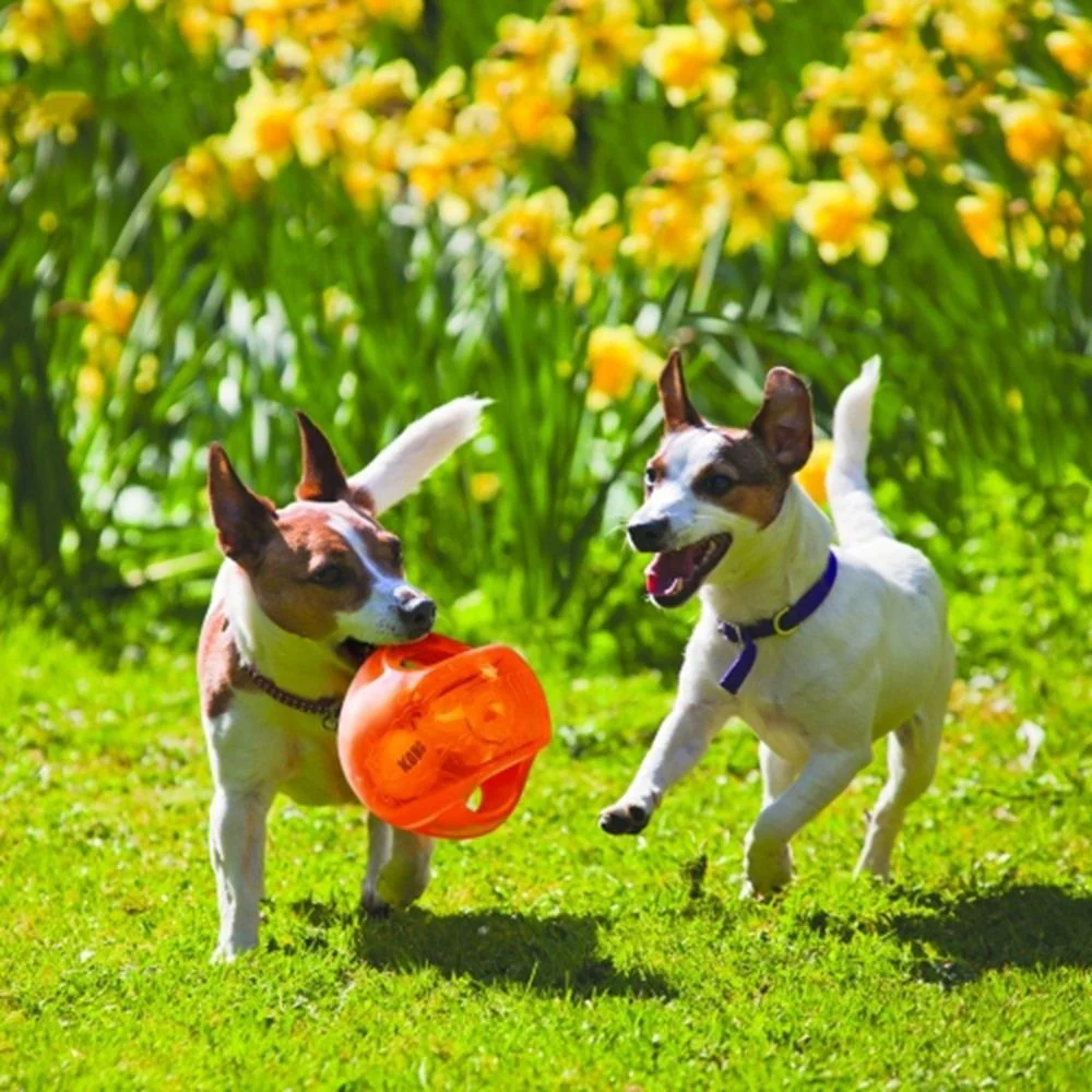 KONG Jumbler Ball Dog Toy - Image 2