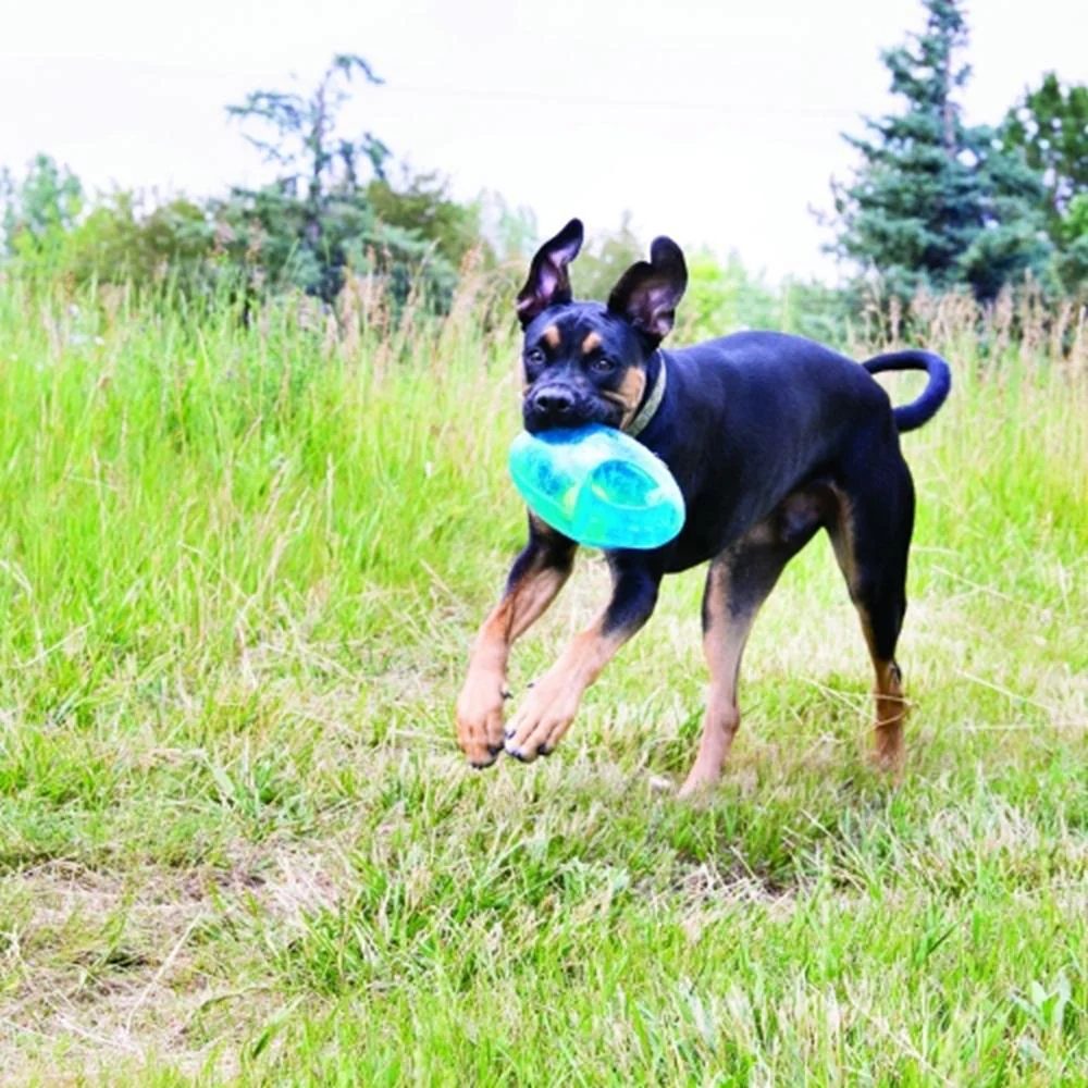 KONG Jumbler Football Dog Toy - Image 5