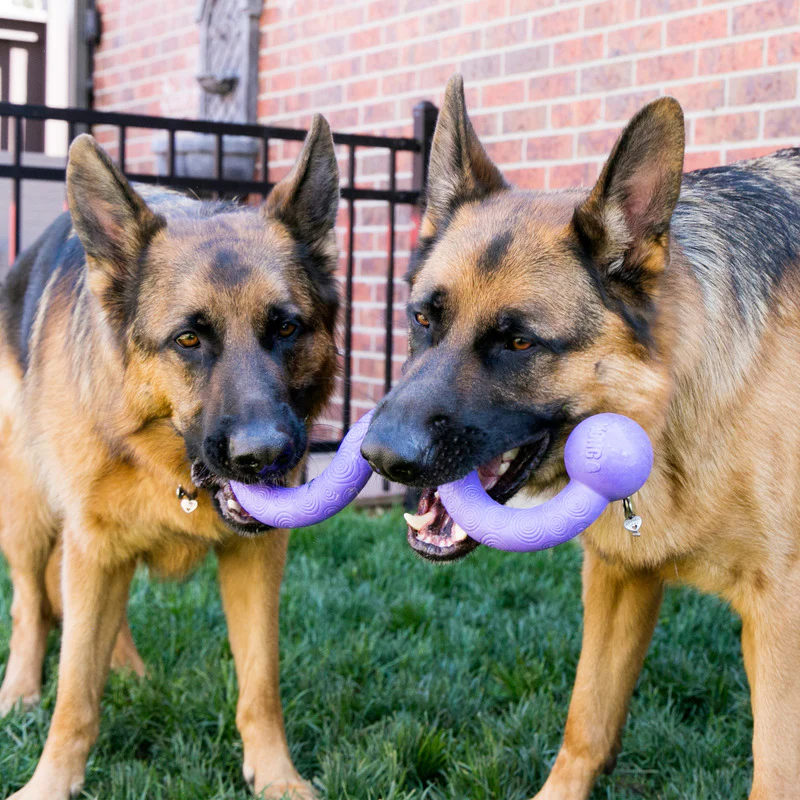 KONG Ogee Stick Dog Toy - Image 2