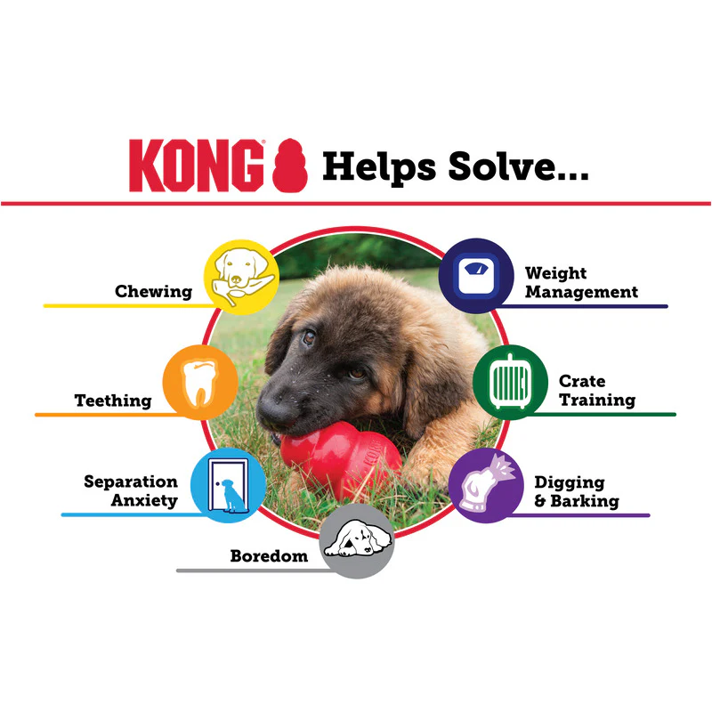 KONG Puppy Dog Toy - Image 4