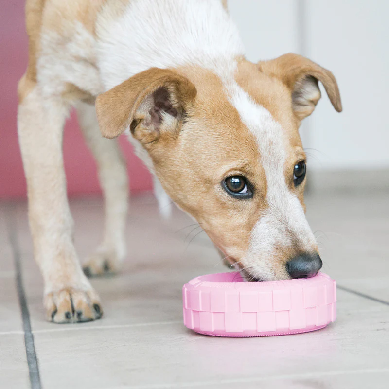 KONG Puppy Tires Dog Toy - Image 3