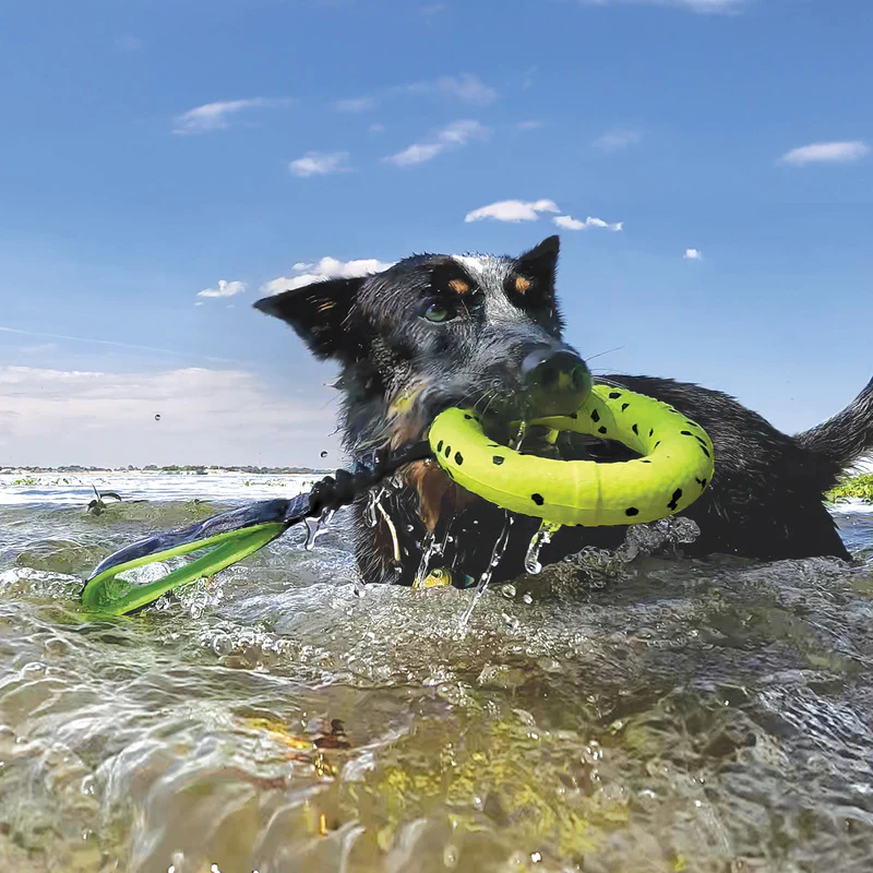 KONG Reflex Tug Dog Toy - Image 4