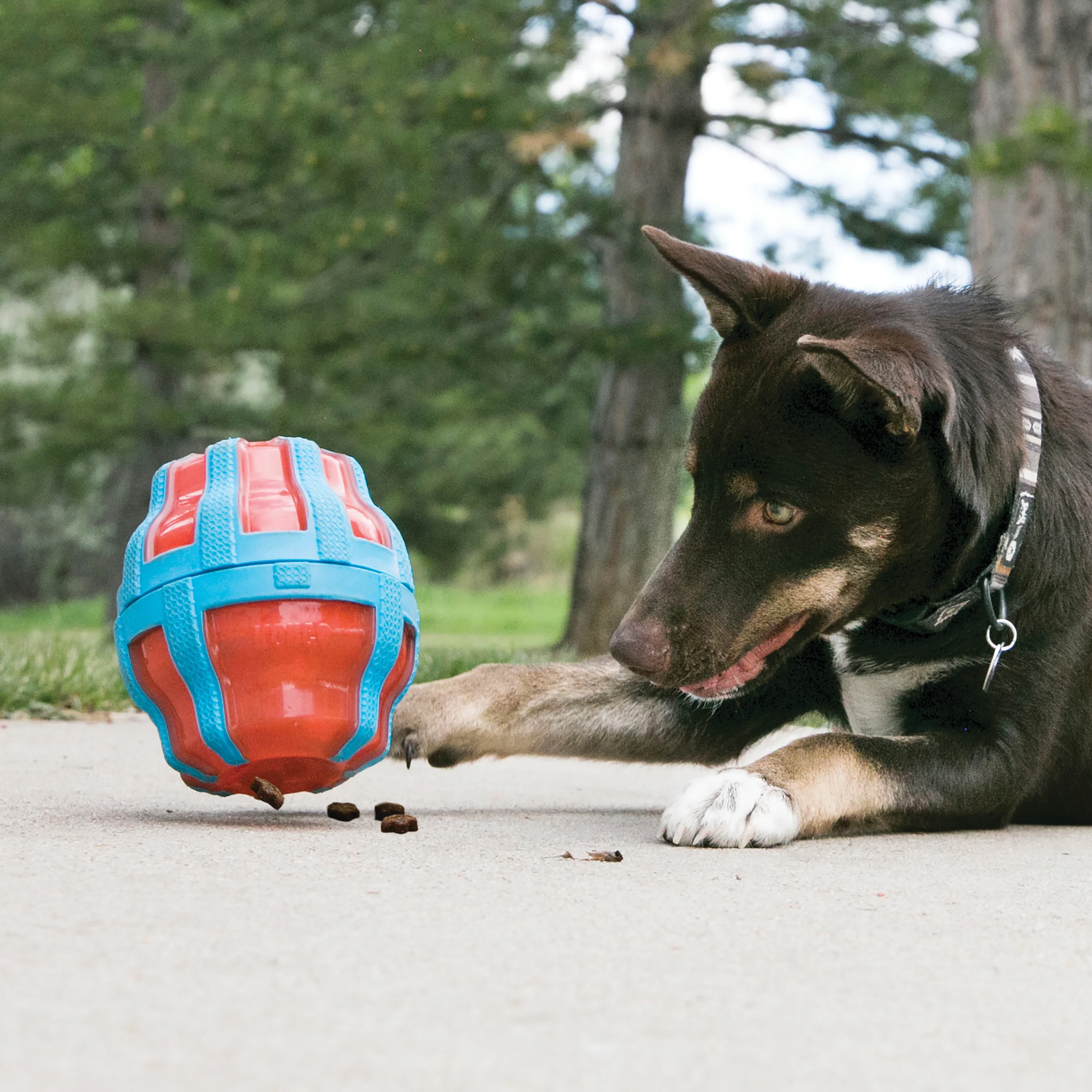KONG Spinner Dog Toy - Image 4