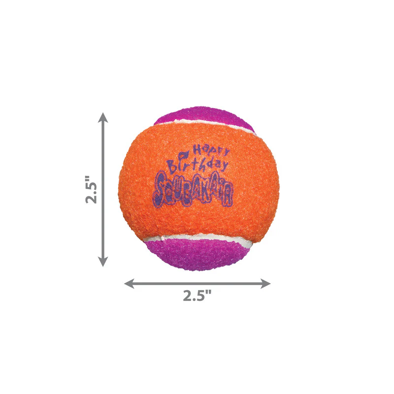 KONG AirDog Squeaker Birthday Balls 3pk Dog Toy - Image 4