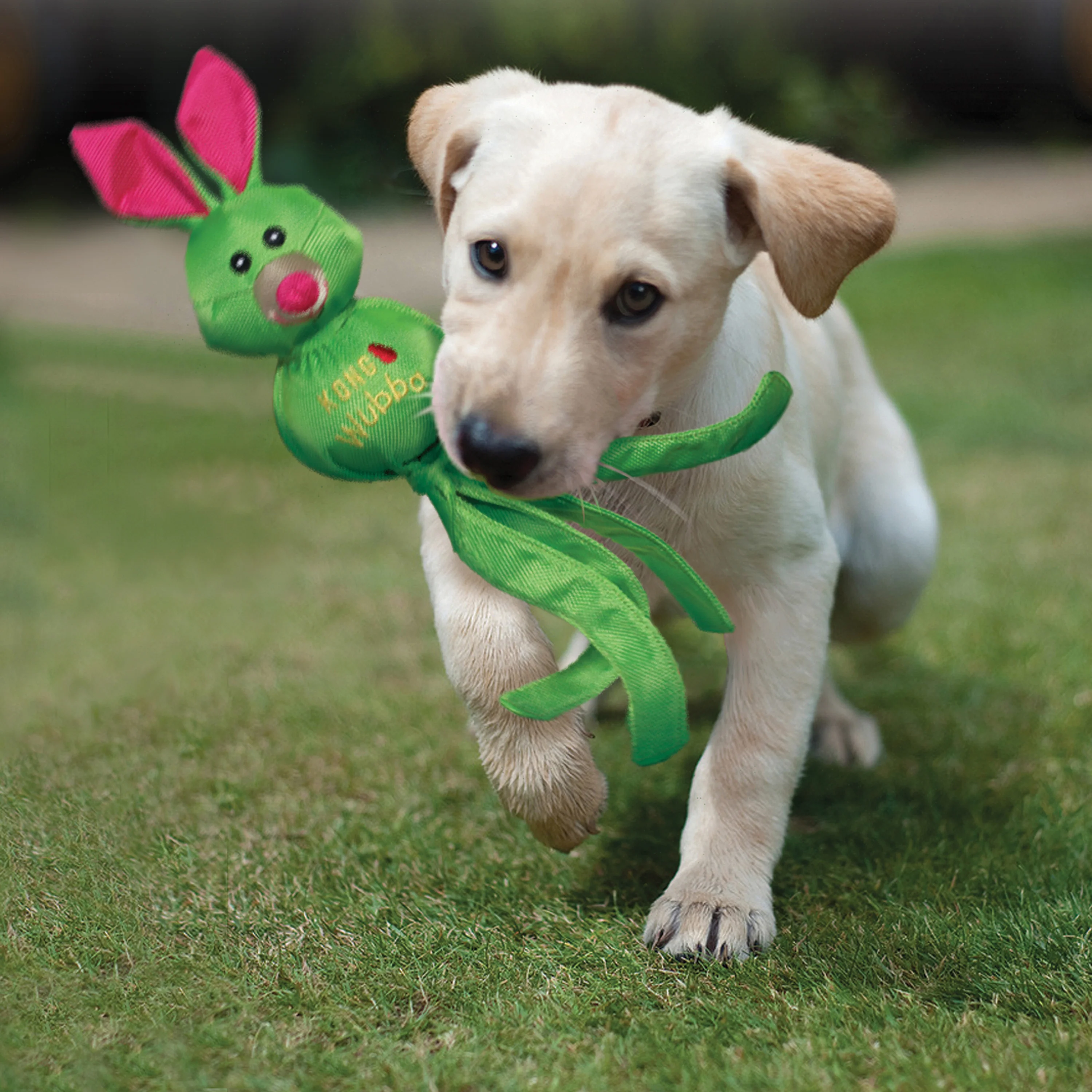 KONG Wubba Ballistic Friends Dog Toy - Image 3