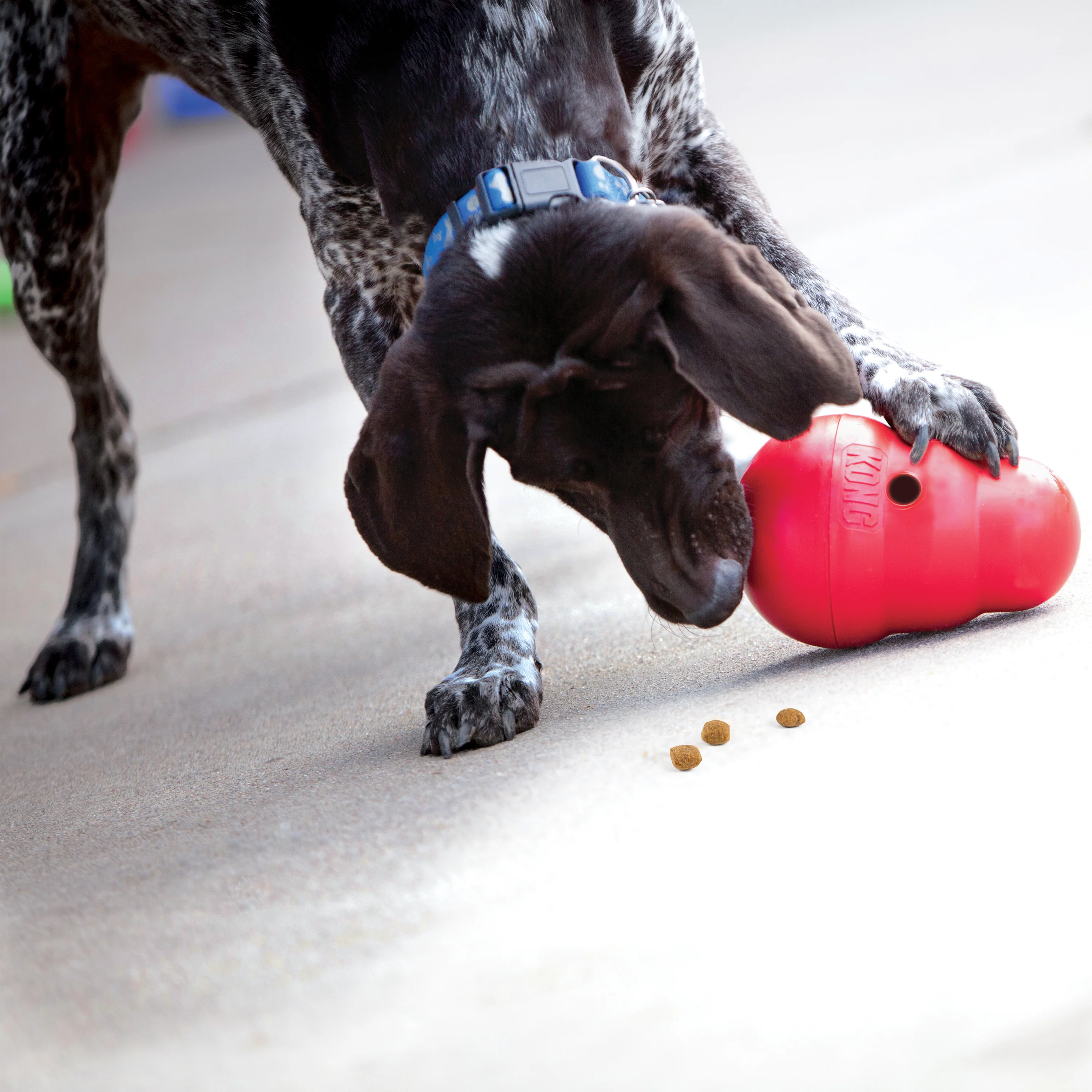 KONG Wobbler Dog Toy - Image 3