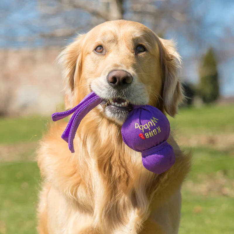 KONG Wubba Original Dog Toy - Image 2