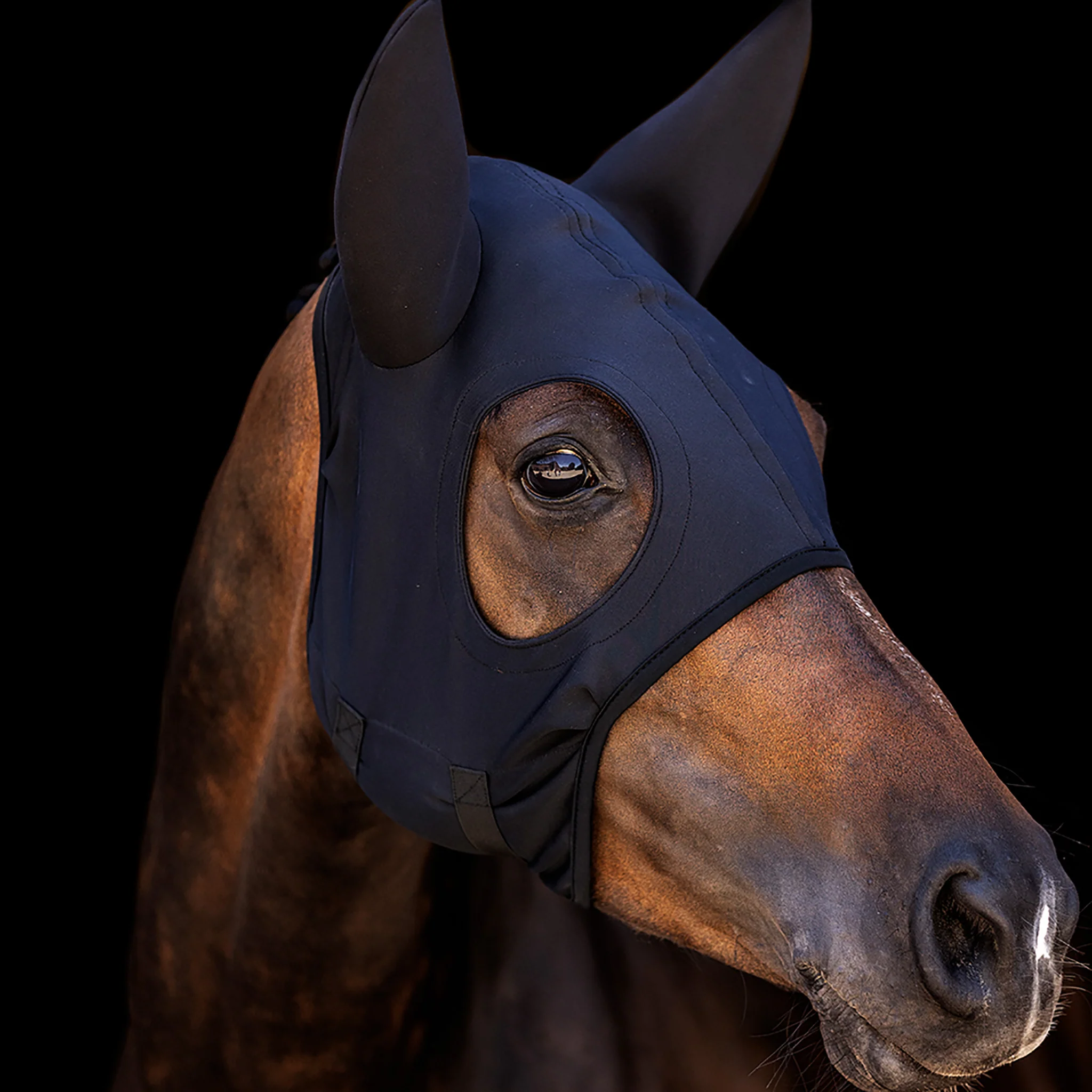 Lami-Cell Titanium Hood With Ears - Image 2