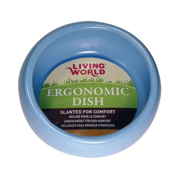 Living World Ceramic Ergonomic Dish - Image 2