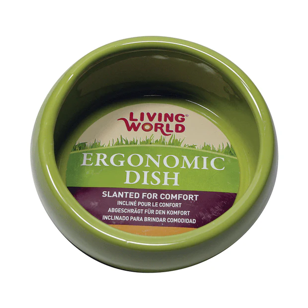 Living World Ceramic Ergonomic Dish - Image 3