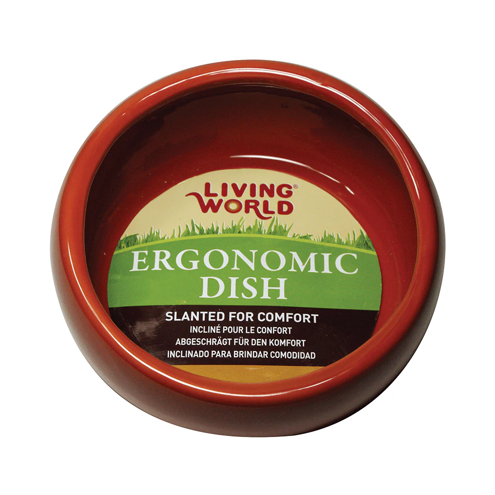 Living World Ceramic Ergonomic Dish - Image 4