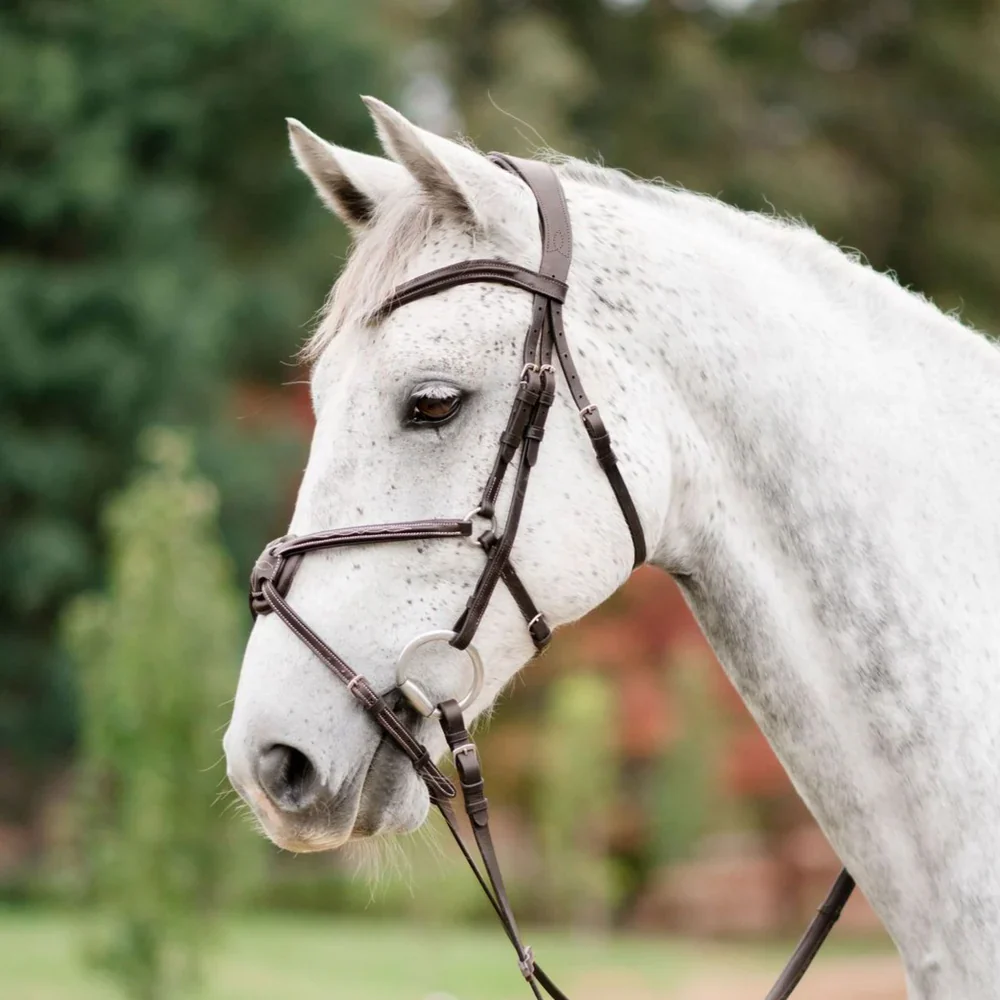 Lumiere Ava Grackle Bridle No Sheepskin