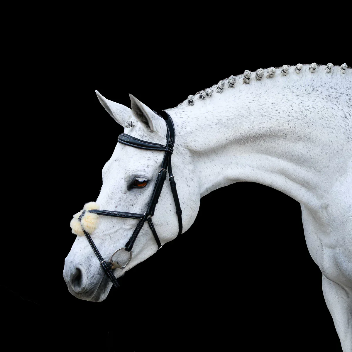 Lumiere Ava Grackle Bridle With Sheepskin