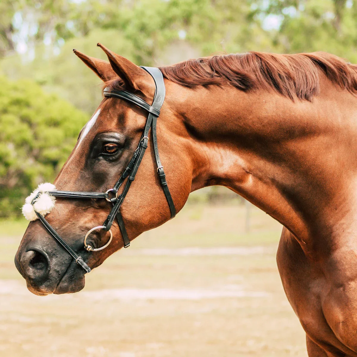 Lumiere Ava Grackle Bridle With Sheepskin - Image 3