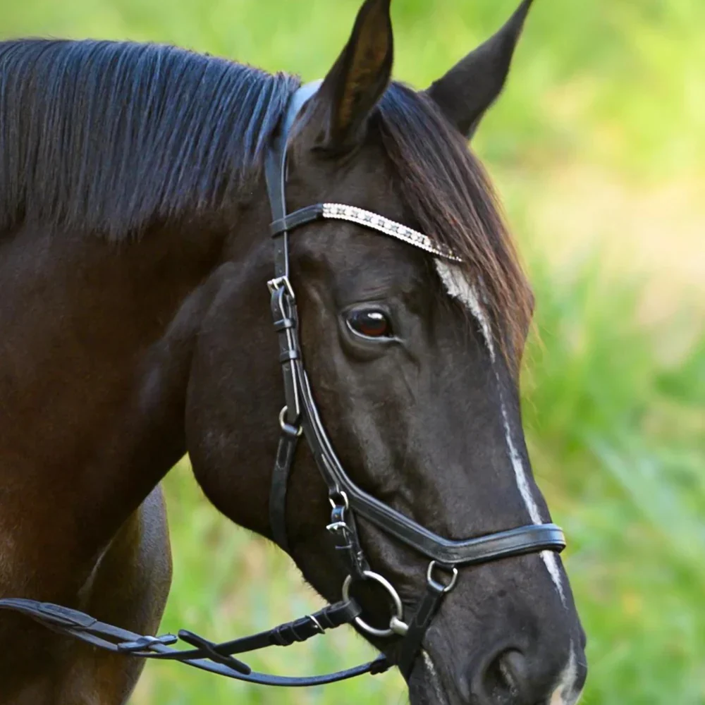 Lumiere Azure Micklem Style Anatomic Leather Bridle - Image 2