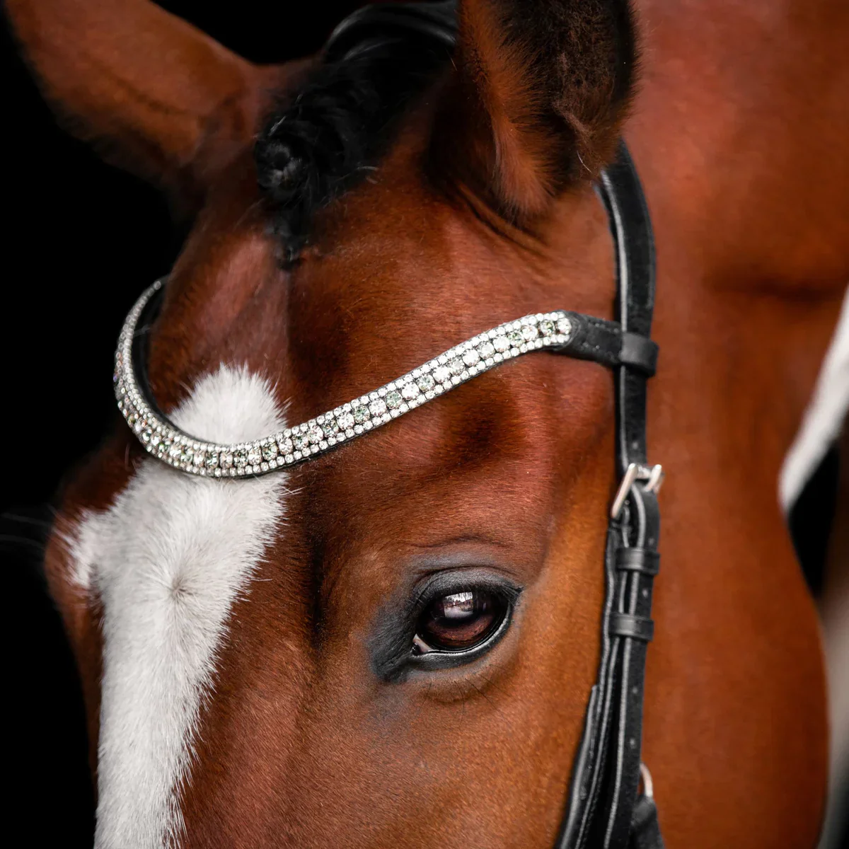 Lumiere Azure Micklem Style Anatomic Leather Bridle - Image 3