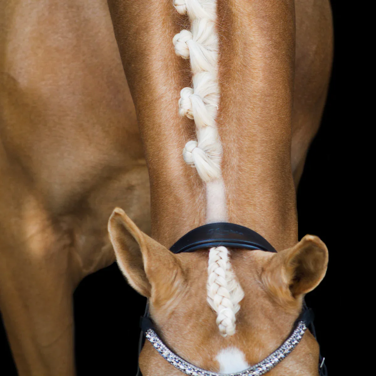 Lumiere Mila Anatomic Leather Bridle - Image 2