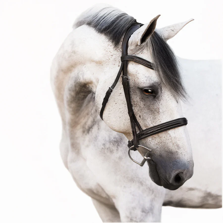 Lumiere Milan Convertible Leather Bridle - Image 2