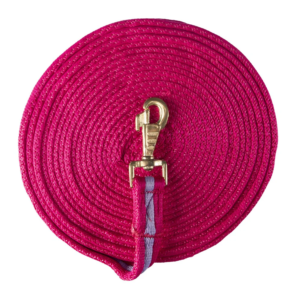 Lunge Lead Tubular Web - Image 3