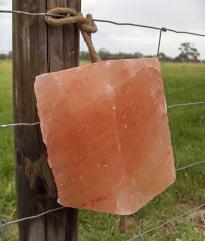 Minrosa Horse Rock Salt Lick with Rope - Image 2