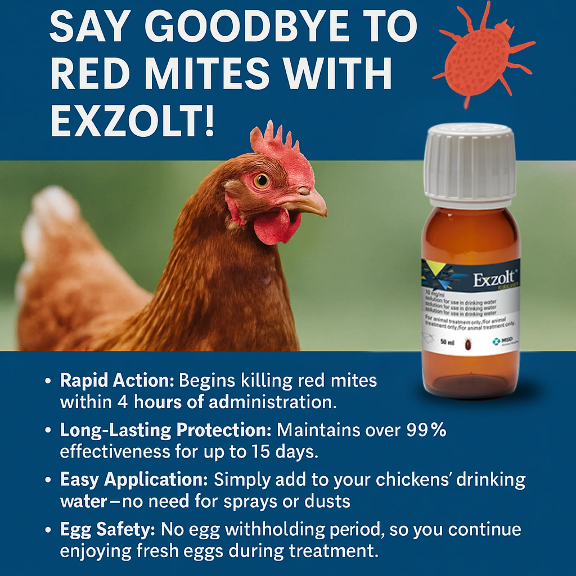 MSD Exzolt Red Mite Treatment For Chickens - Image 4