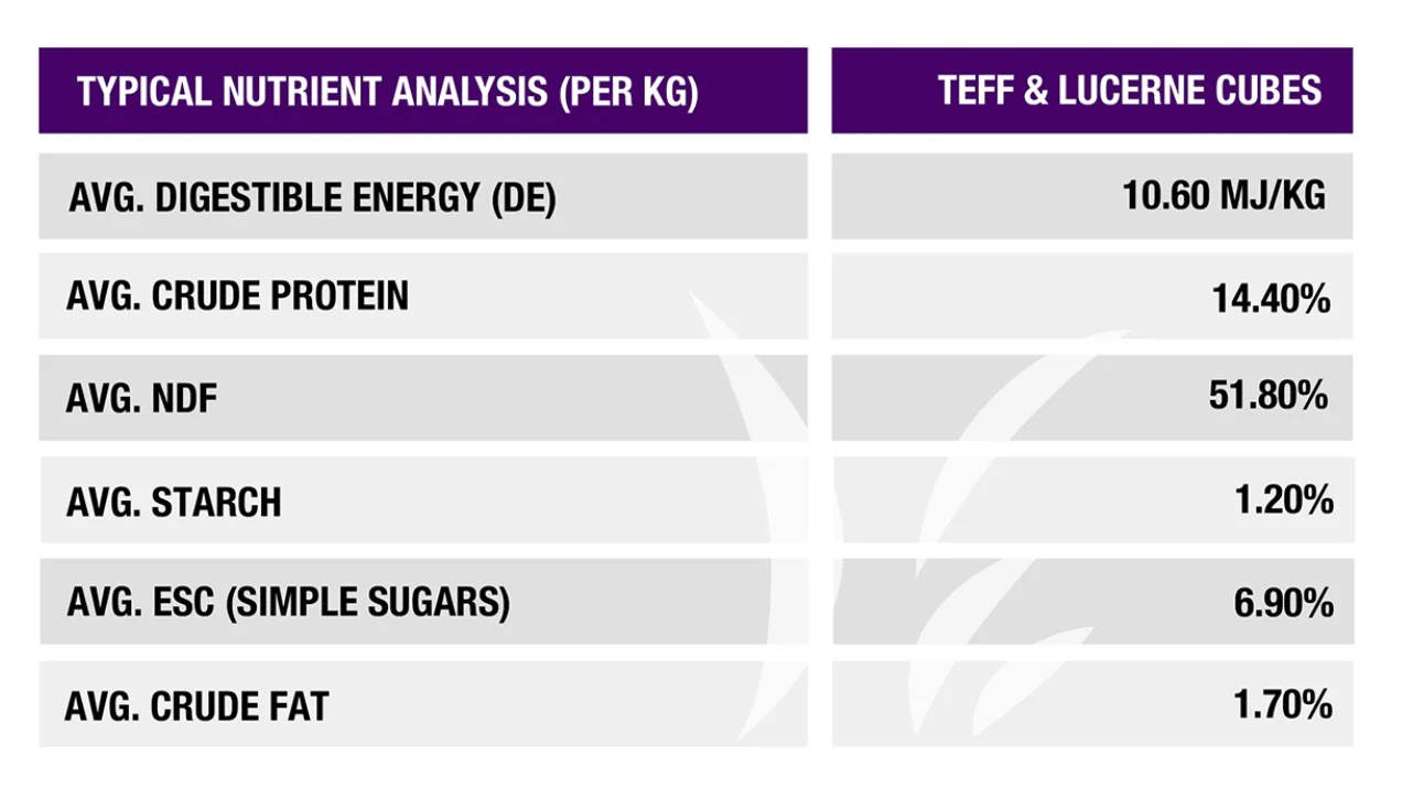 Multicube Lucerne and Teff Hay Cubes - Image 3
