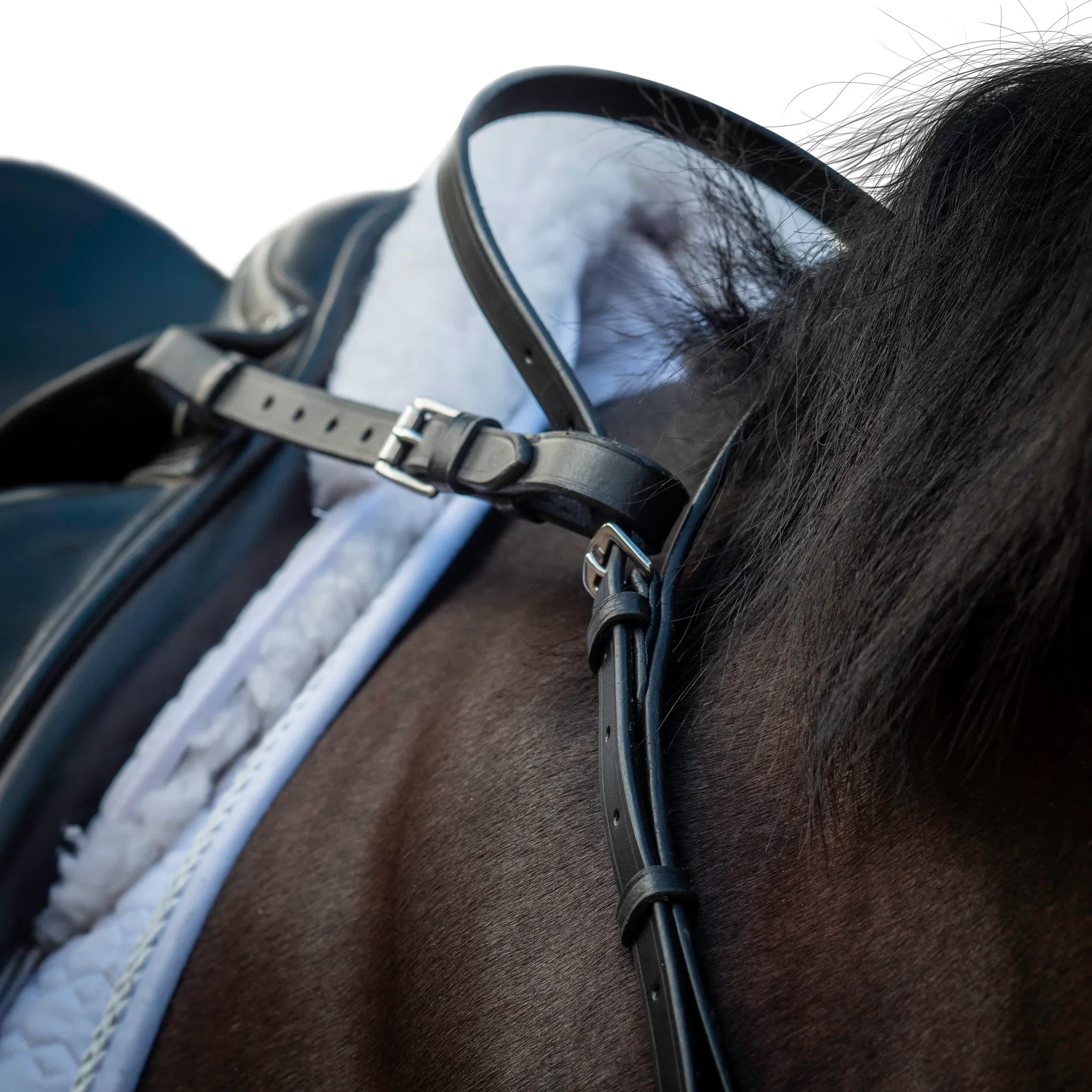 Flexible Fit Equestrian Neck Strap Adaptors - Image 5