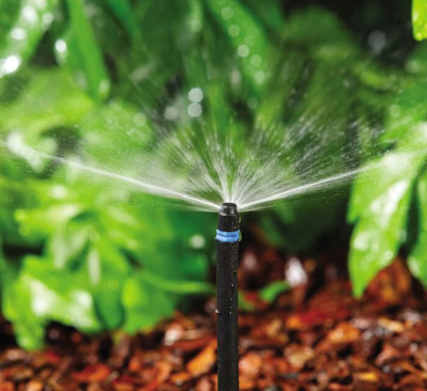 Neta Micro Spray Jet Blue Base - 10 Pack - Image 2