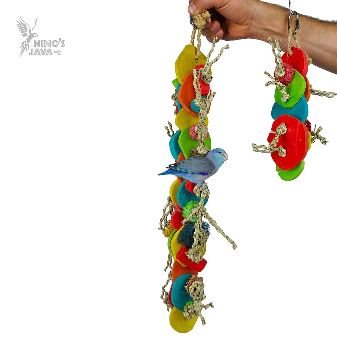 Ninos Java Caterpillar - Image 2