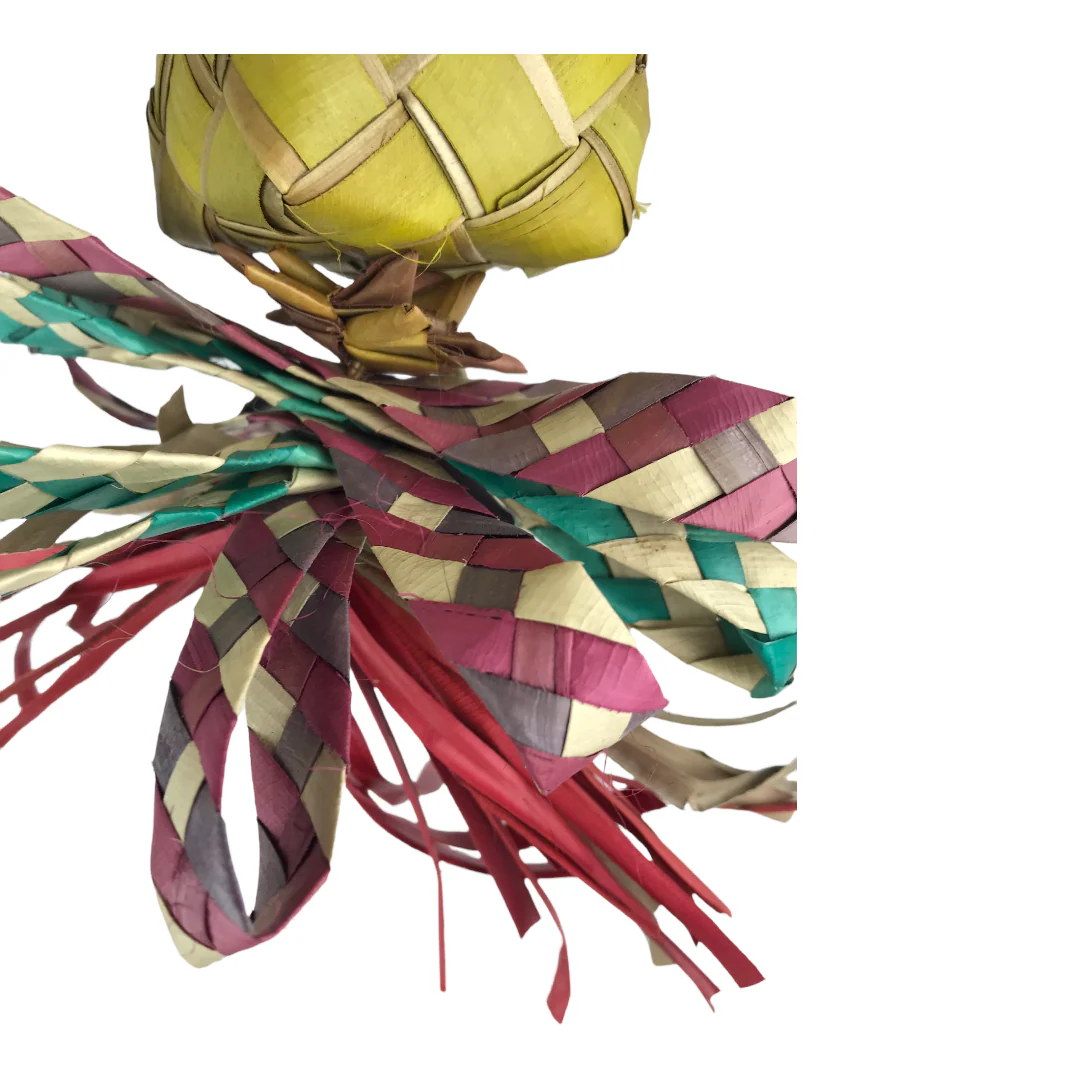Ninos Java Gift Wrapped - Image 2