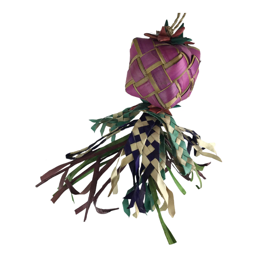 Ninos Java Gift Wrapped - Image 3