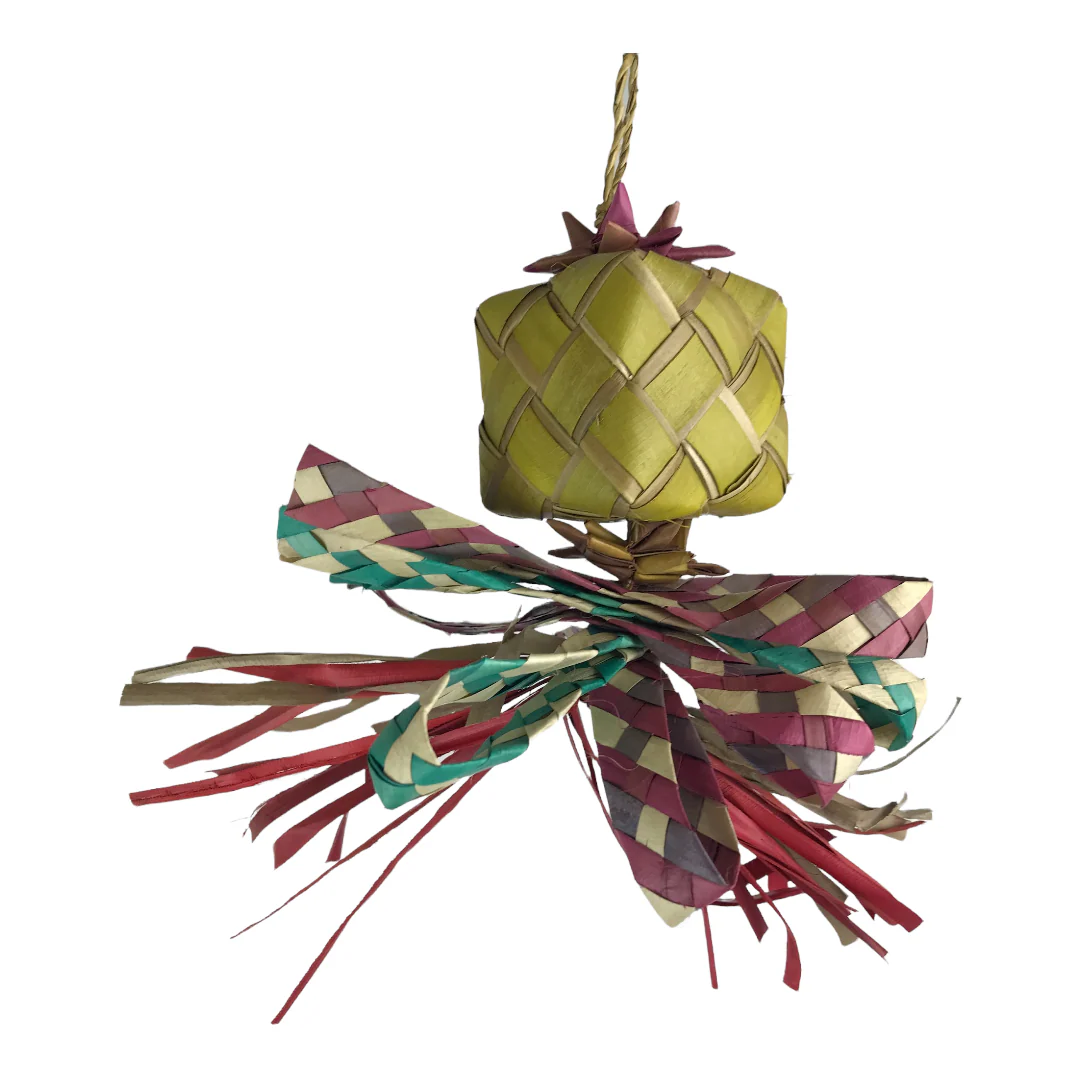 Ninos Java Gift Wrapped - Image 5