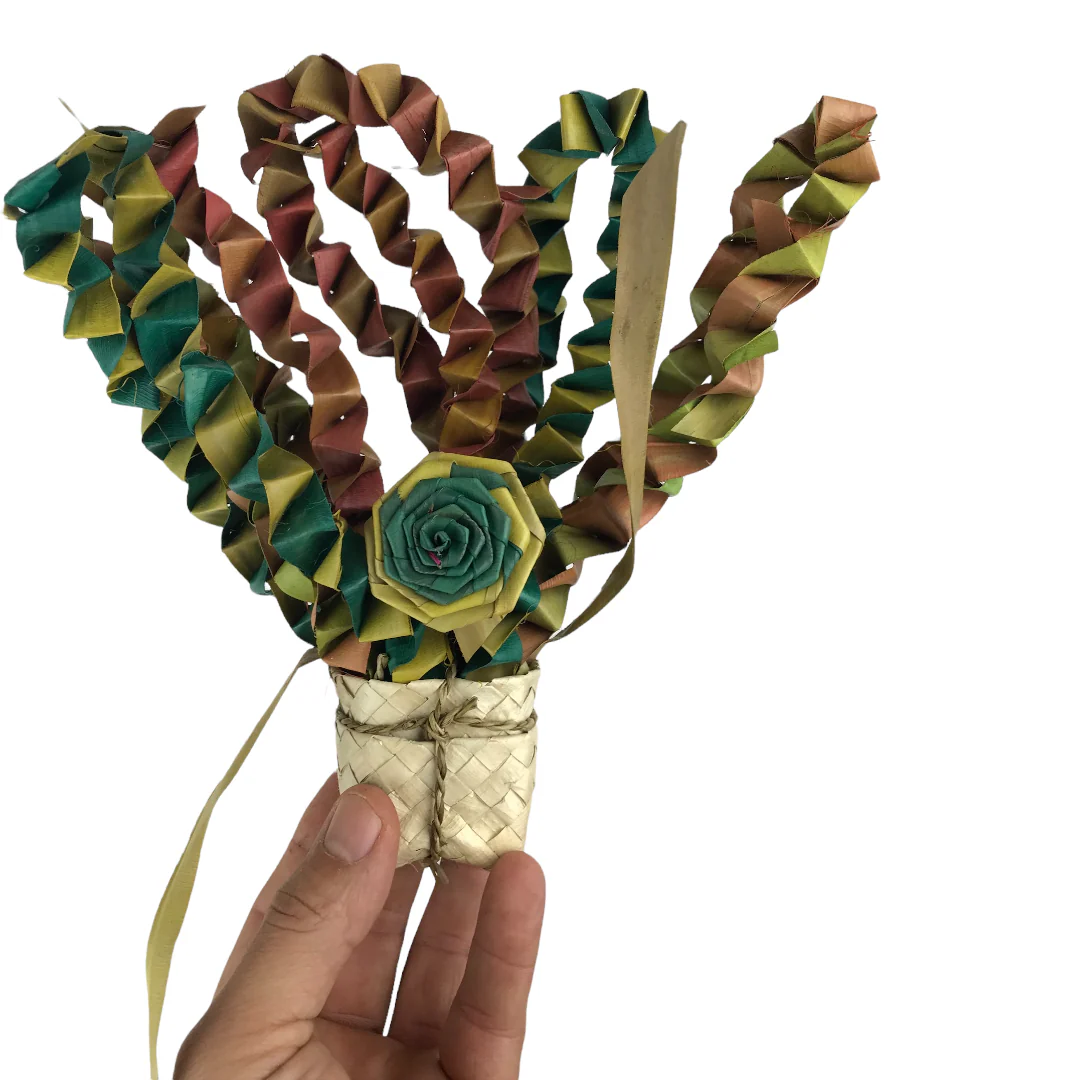 Ninos Java Posy - Image 3